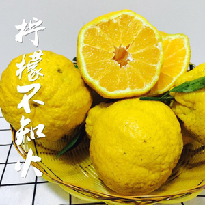 蒲江春见丑橘柠檬丑柑现摘当季新鲜水果柠檬不知火带箱10斤包邮