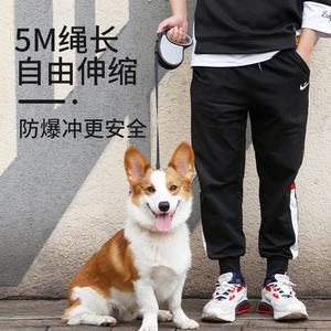 狗狗牵引绳自动伸缩遛狗绳泰迪博美柯基狗链子中型小型犬宠物用品