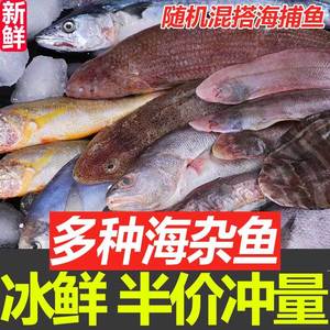新鲜海杂鱼带鱼鲳鱼小黄鱼冷冻海鲜龙利鱼海鳗鱼米鱼马鲛鱼整箱