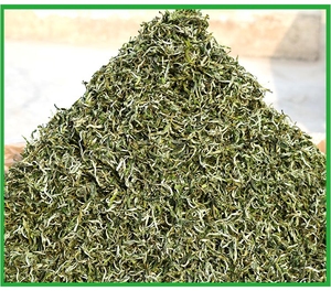云南春尖茶甘肃三泡台浓香耐泡型西北煮罐罐茶散装礼品盒绿茶