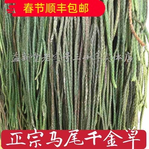野生中药材马尾千金草千斤草 马尾青青草飞龙伸筋草100克正宗包邮