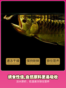 饲料大龙虾干龙鱼专用饲料增色龙鱼食干虾冻干虾活饵替代包邮