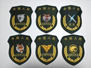 军迷收藏 正货库存全新魔术贴迷彩服软臂章战队粘贴臂cs贴标徽章