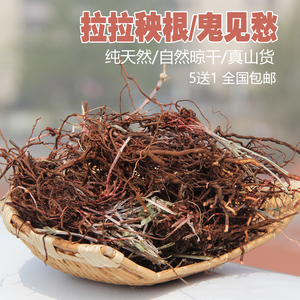 七草园 拉拉秧根 鬼见愁根 鬼针子根 中药材 天然 5送1 满包邮