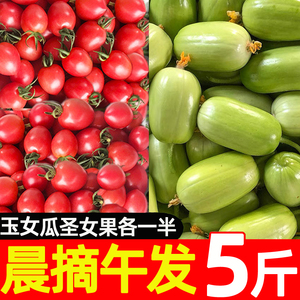 玉女瓜圣女果新鲜水果黄瓜5斤小番茄西红柿子拇指千禧生吃自然熟