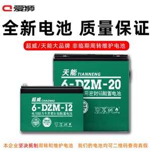 爱狮电动自行车