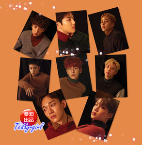 exo官方同款周边 冬季特别专辑for life冬专 世勋灿烈a4海报 照片