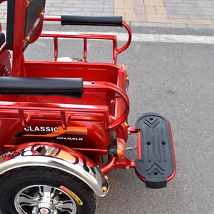 电动车三轮车货运小