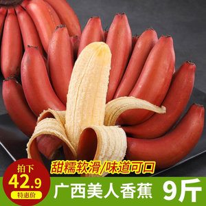 广西红皮香蕉新鲜水果美人蕉红色土楼现摘非芭蕉小米蕉9斤包邮甜