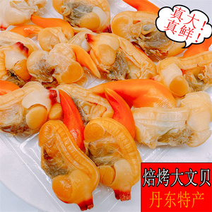 滋之鲜丹东焙烤大黄蚬子干文贝蛤蜊干丹东特产海鲜干货零食100克