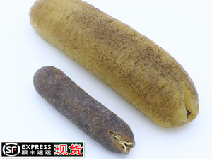野生足干光秃金秃参沙秃500g3-4头海参干货包装礼盒装包邮