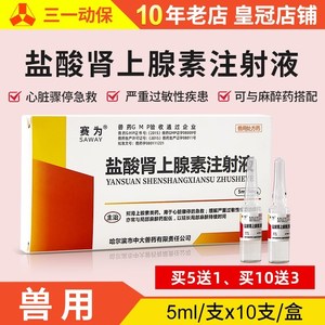 肾上腺素注射液