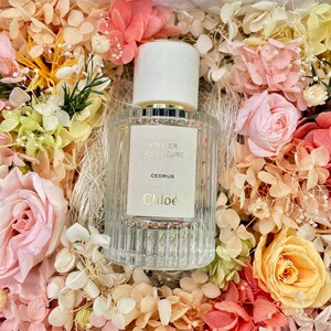 chloe蔻依仙境花园系列香水北国雪松50ml/150ml 麝香木质调