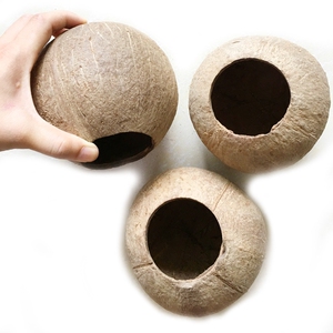 椰子壳工艺品手工