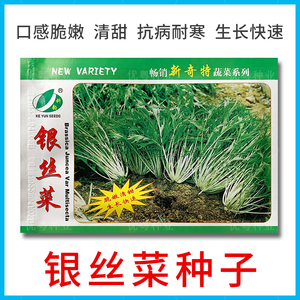 银丝菜种籽芥菜种子高产细叶介菜籽种可腌制菜干特色青菜蔬菜种孑