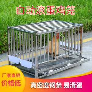 自动滚蛋蛋鸡笼