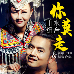 汽车载cd山水组合专辑流行热门新歌精选山歌大全碟片光盘 你莫走