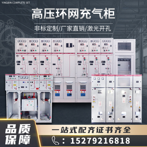 10KV高压全绝缘充气柜SRM6六氟化硫开关XGN15-12环网柜电缆分支箱