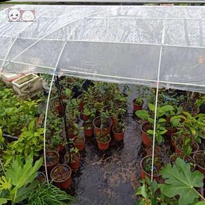 棚架支架拱形种菜家用蔬菜菜棚保温棚拱玻纤杆农用小拱棚竿骨架玻