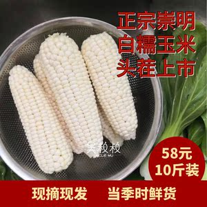 上海崇明本地白糯粘玉米珍珠米甜糯农家种现摘现发新鲜带壳玉米棒