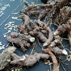 秦岭野生中药材 仙灵脾 淫羊藿根 羊藿叶根洋火叶根 500克包邮