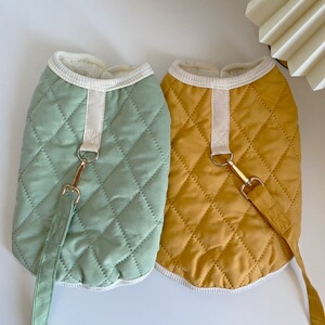 狗狗衣服加牵引绳