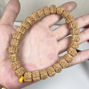 123小金刚帝王龙原生态手持龙肉清晰高龙脊精挑精配13mm