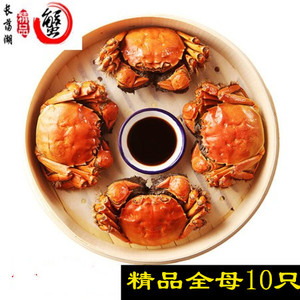 江苏常州长荡湖精品大闸蟹3两全母10只螃蟹鲜活现货水产产地直发