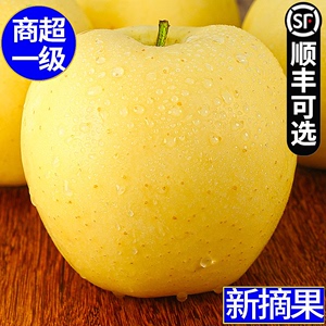 黄元帅苹果新鲜水果9斤黄金帅当季烟台粉面苹果黄蕉黄苹果整箱10
