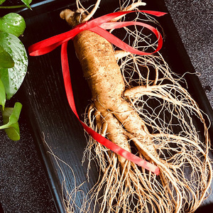 人参野山参长白山15年正品