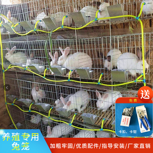 12位子母兔笼笼9位种兔笼24位商品笼兔笼养殖笼兔子笼子特大号