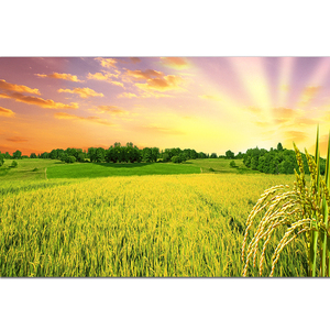 田园乡村画稻田稻穗麦田风光五谷丰登意境唯美餐厅饭店风水镇宅画