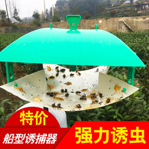 桃小食心虫诱捕器