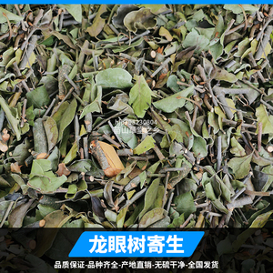 龙眼树寄生广西野生牛眼寄生桂圆龙眼木寄生无磺食用干品500g包邮