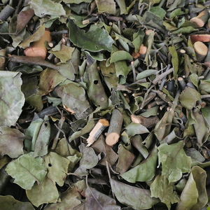 盐肤木寄生纯野生盐霜柏盐酸木敷烟树五倍子树寄生寄生茶500g包邮