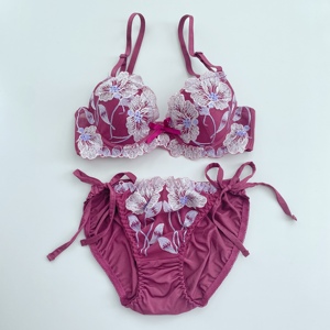 a-e1外贸 日单 灼热*家 紫红色 大花朵刺绣 文胸套装abe