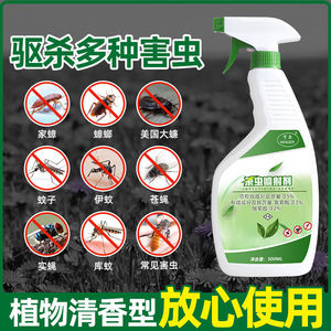 防米虫药的杀虫剂米象克星米面防虫剂灭家庭除虫米象虫杀厨房驱虫