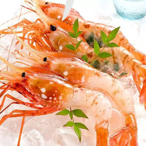 【0816直播 7天内发货】俄罗斯进口刺身白牡丹虾9-12头/500g顺丰