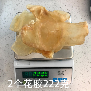 方好好特级硬骨鱼白花胶一斤4-5头 南美海域野生0腥花胶50g