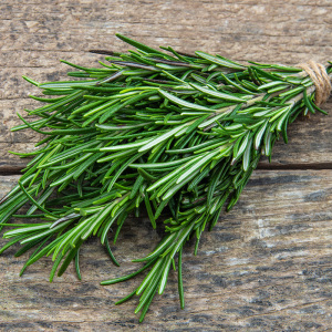 新鲜迷迭香牛排香料 西餐调料艾菊 匍匐迷迭香食用香草500g
