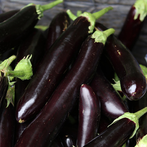 新鲜长茄子5斤紫茄子山东农家自种长线大茄子黑嫩现摘蔬菜包邮