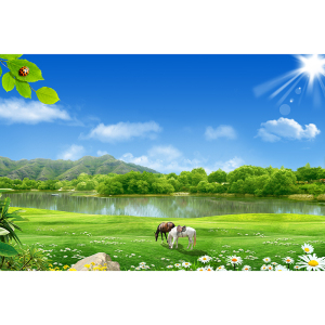 山水风景画大海报定制辽阔大草原骏马蓝天白云绿水青山墙挂画贴画