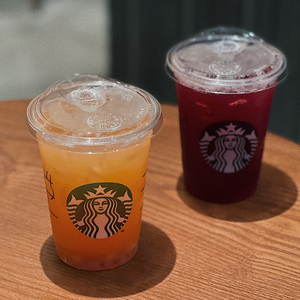 白桃乌龙茶叶桃香乌龙茶包 星巴克冰摇桃桃乌龙茶 奶茶店专用茶底