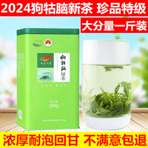 2024新茶江西遂川狗牯脑茶叶珍品特级井冈山特产云雾绿茶500g罐装