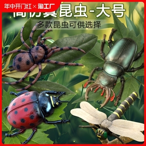 蜘蛛创意整蛊道具会动的昆虫模型儿童蚂蚁蜜蜂甲虫蚂蚱蜢动物玩具