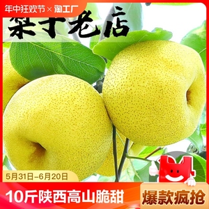 梨子10斤陕西高山酥梨脆甜多汁新鲜水果大果应当季现货冰糖雪梨