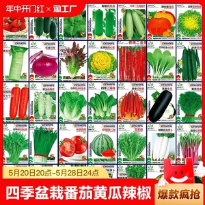 蔬菜种子四季播盆栽番茄黄瓜辣椒西瓜籽孑大全苏州青香菜水果夏季