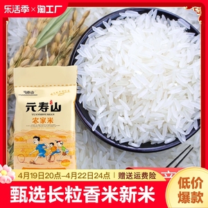 年货节20斤当季新米长粒香米南方原生态长粒米一级甄选稻香