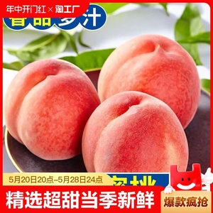 正宗水蜜桃子新鲜水果当季时令脆甜孕妇早熟毛桃整箱包邮非油桃