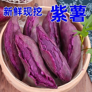 紫薯新鲜现挖紫罗兰紫心蜜薯小红薯10斤农家自种沙地番薯板栗地瓜